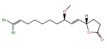 Xestospongiene G